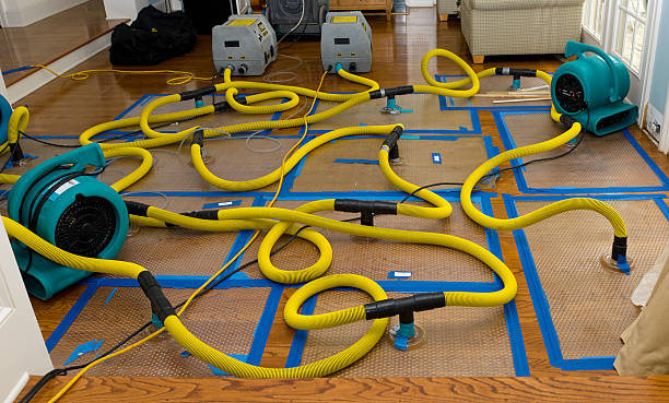 Professional Water Extraction technician working in Evans, GA